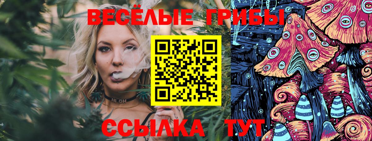 Псилоцибиновые грибы Magic Shrooms Анапа