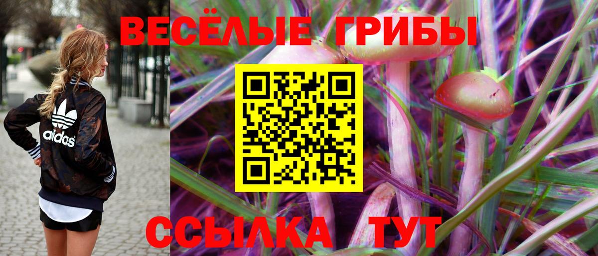 Анапа  Галлюциногенные грибы MAGIC MUSHROOMS  Вход с VPN 